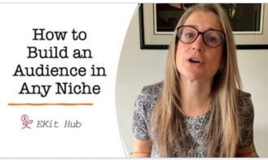 How to Build Your Niche Audience from Alice Seba